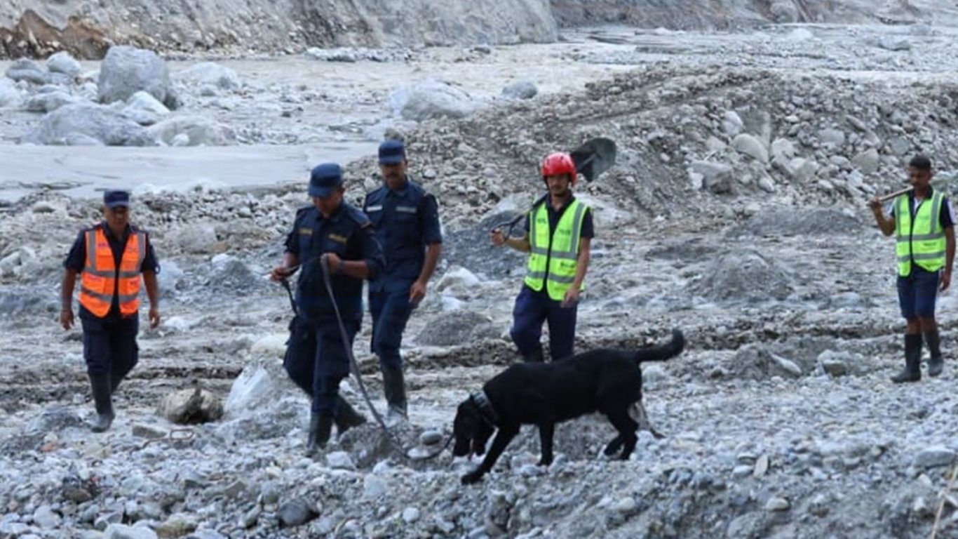 भग्नावशेषको जटिल खोजलाई सम्भव बनाइरहेका यी चारखुट्टे उद्धारकर्मी