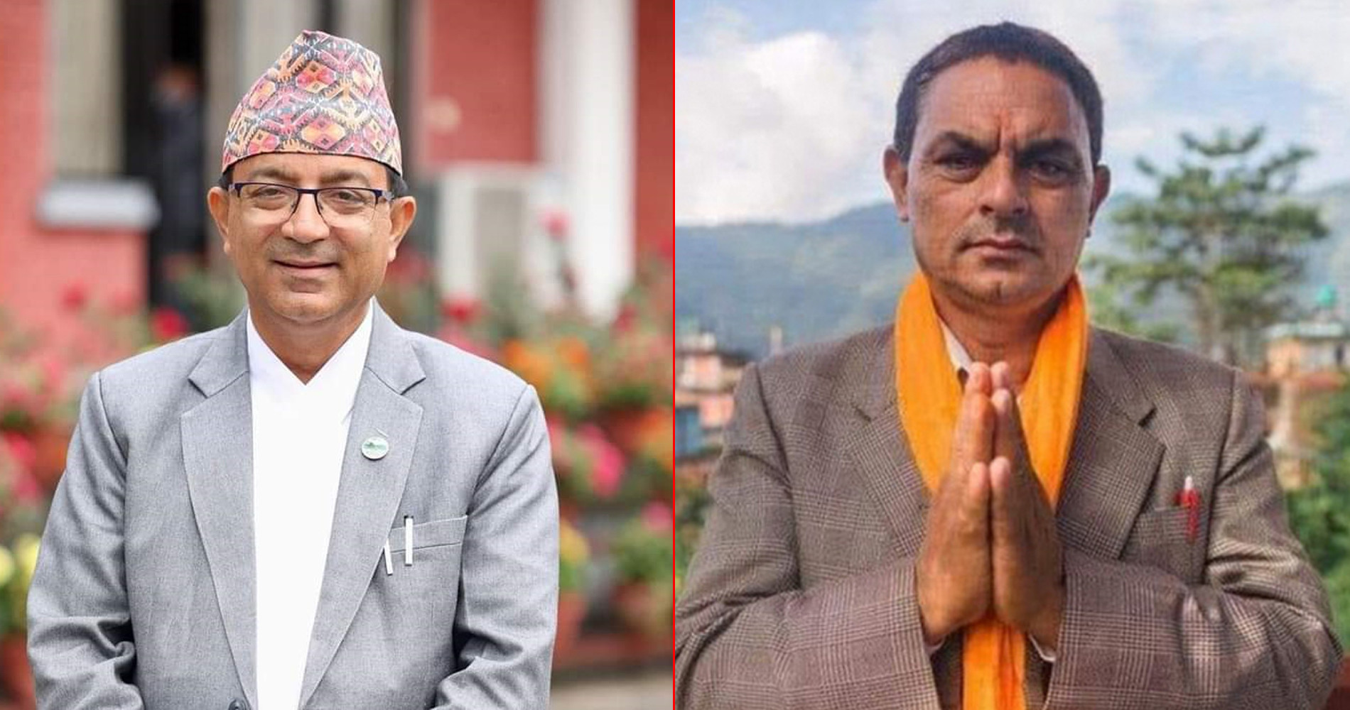 बाँदर रोक्न रुख काट्ने विषयले पोखराका मेयर र वडाध्यक्षबीच टकराव
