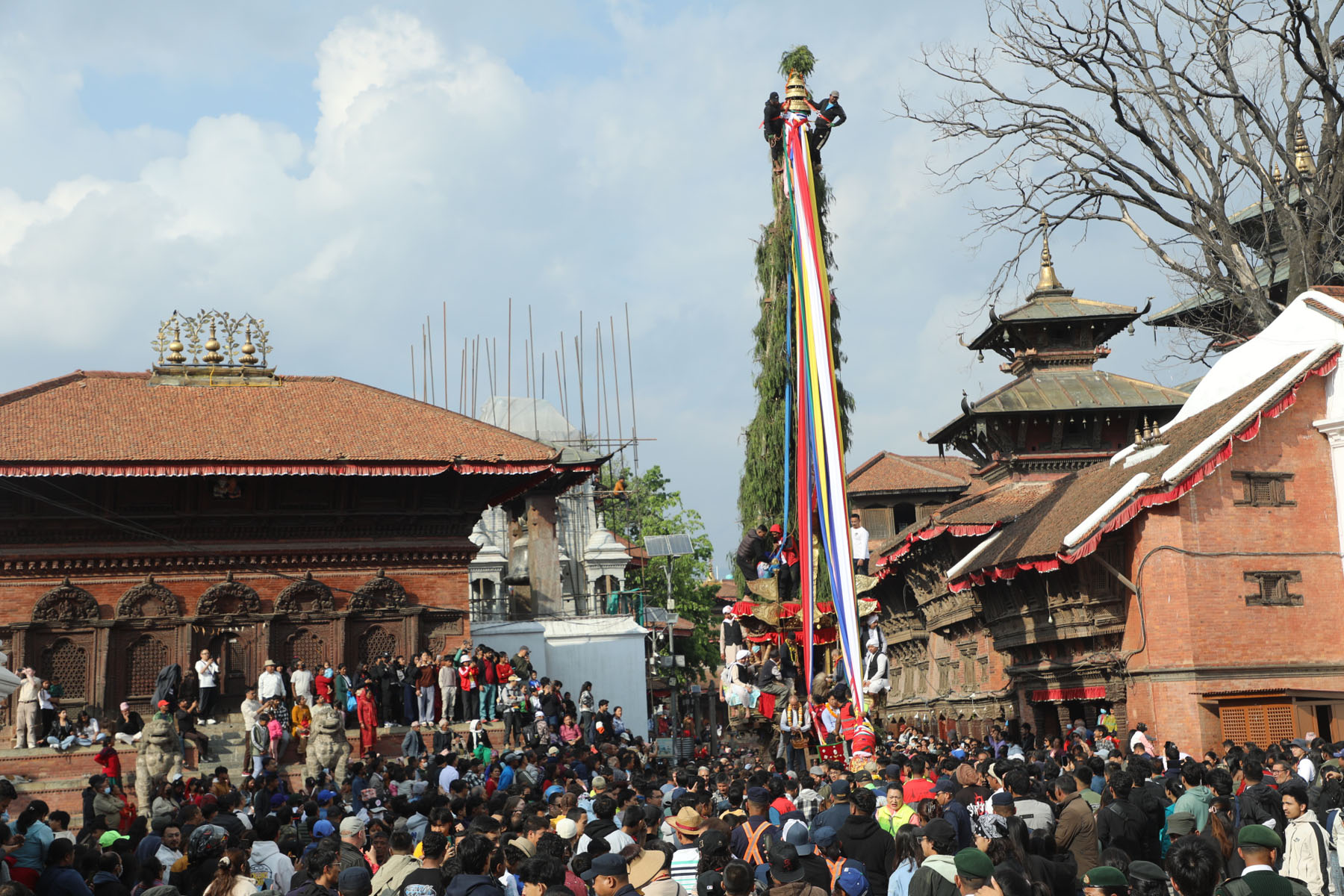 चैत्र शुक्ल एकादशी : सेतो मच्छेन्द्रनाथको मूर्ति फर्काइयो जनबहालस्थित मन्दिरमा