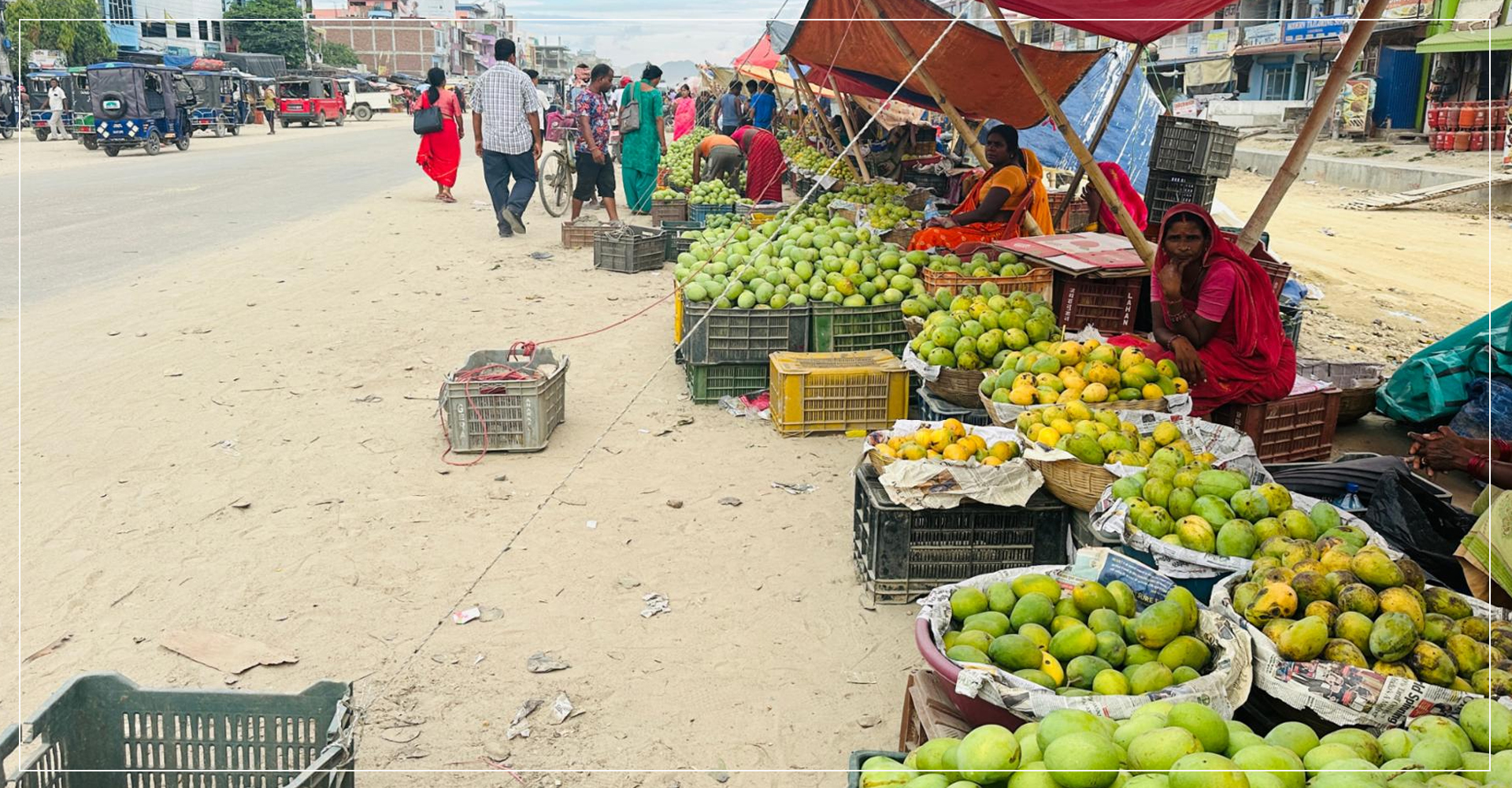 आँपको सुवासले मगमगाइरहको छ सिरहा