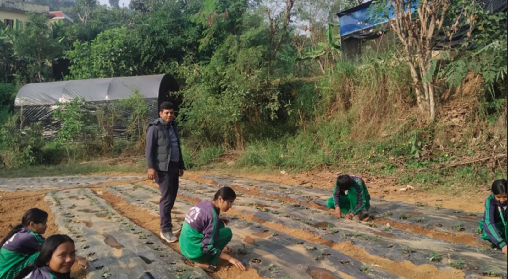 विद्यार्थीलाई आयआर्जनसँग जोड्न स्ट्रबेरी खेती