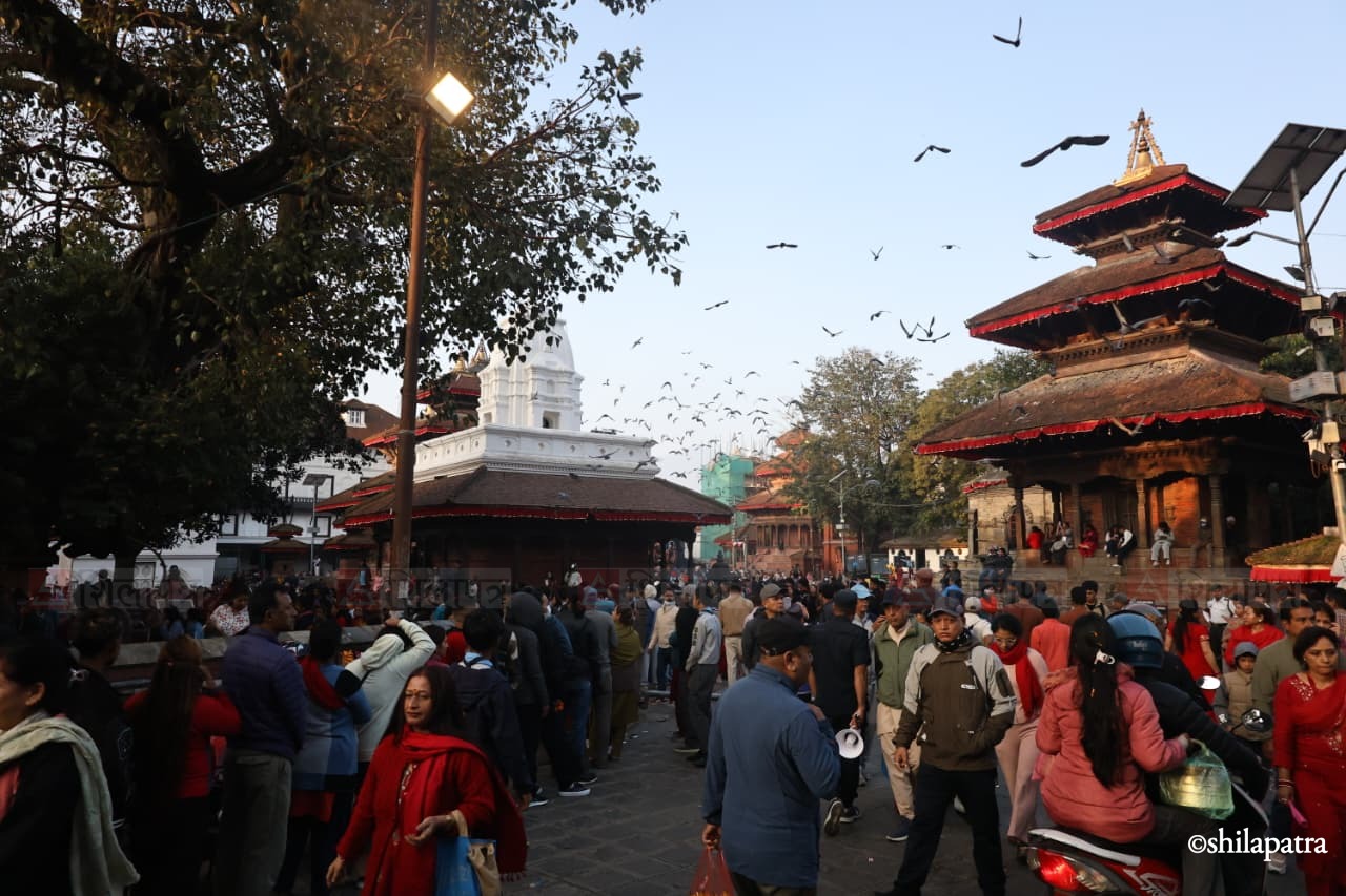 घटस्थापनाका दिनमा राखिएको जमरा शक्तिपीठमा चढाएर महानवमी पर्व मनाइँदै