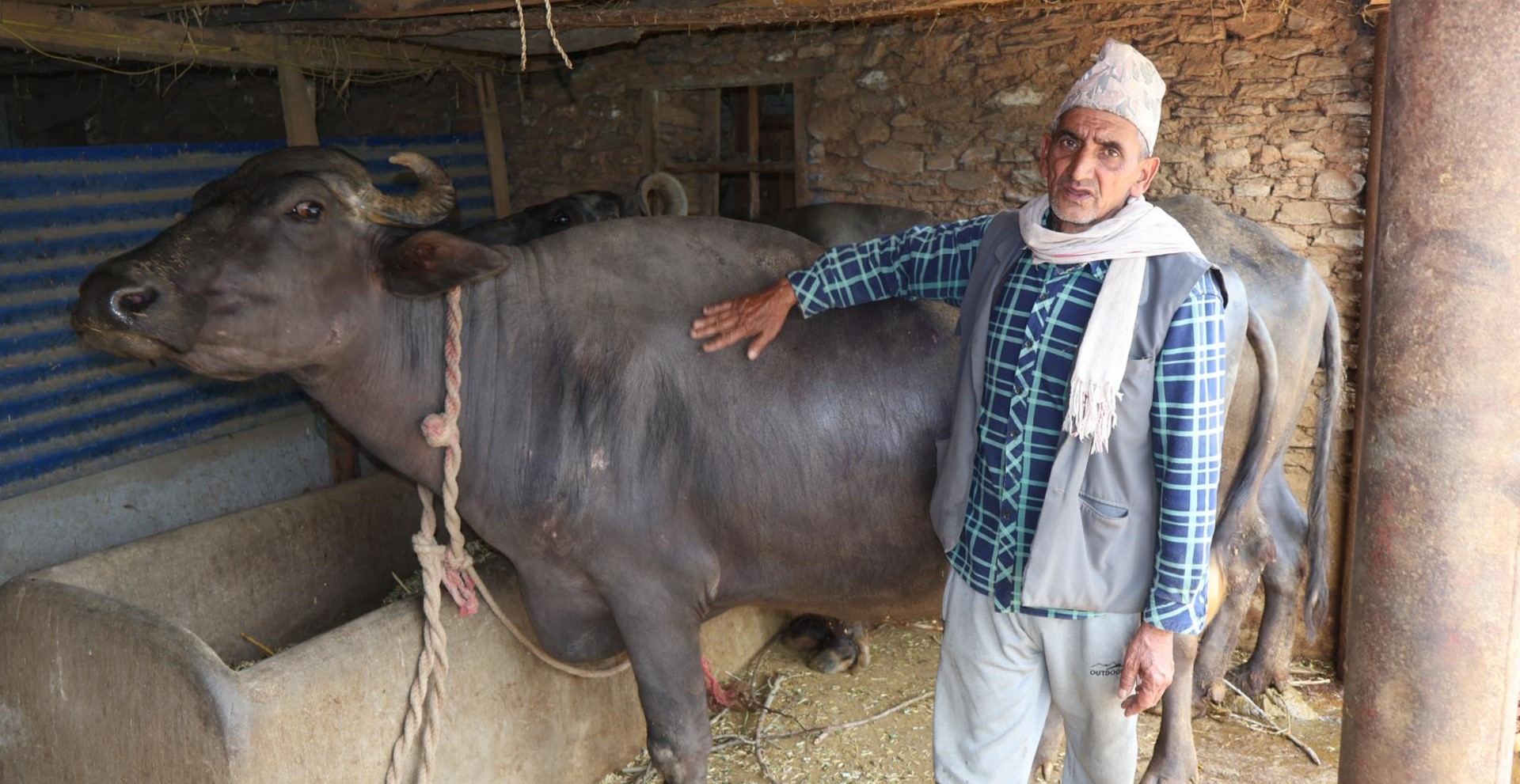 शहरमा बसाइँ सरेर धेरैले छाडे गाउँ, त्यही गाउँमा बसेर पौडेल परिवार गर्दै छ तरक्की
