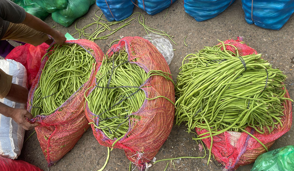 चितवनबाट बुटवल ल्याइएको बोडीमा अत्यधिक विषादी, १२० किलो बाेडी नष्ट गरियाे