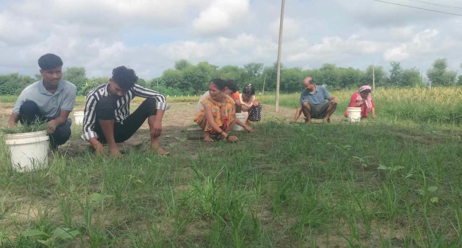 तरकारीखेतीबाट वार्षिक १५ लाख आम्दानी