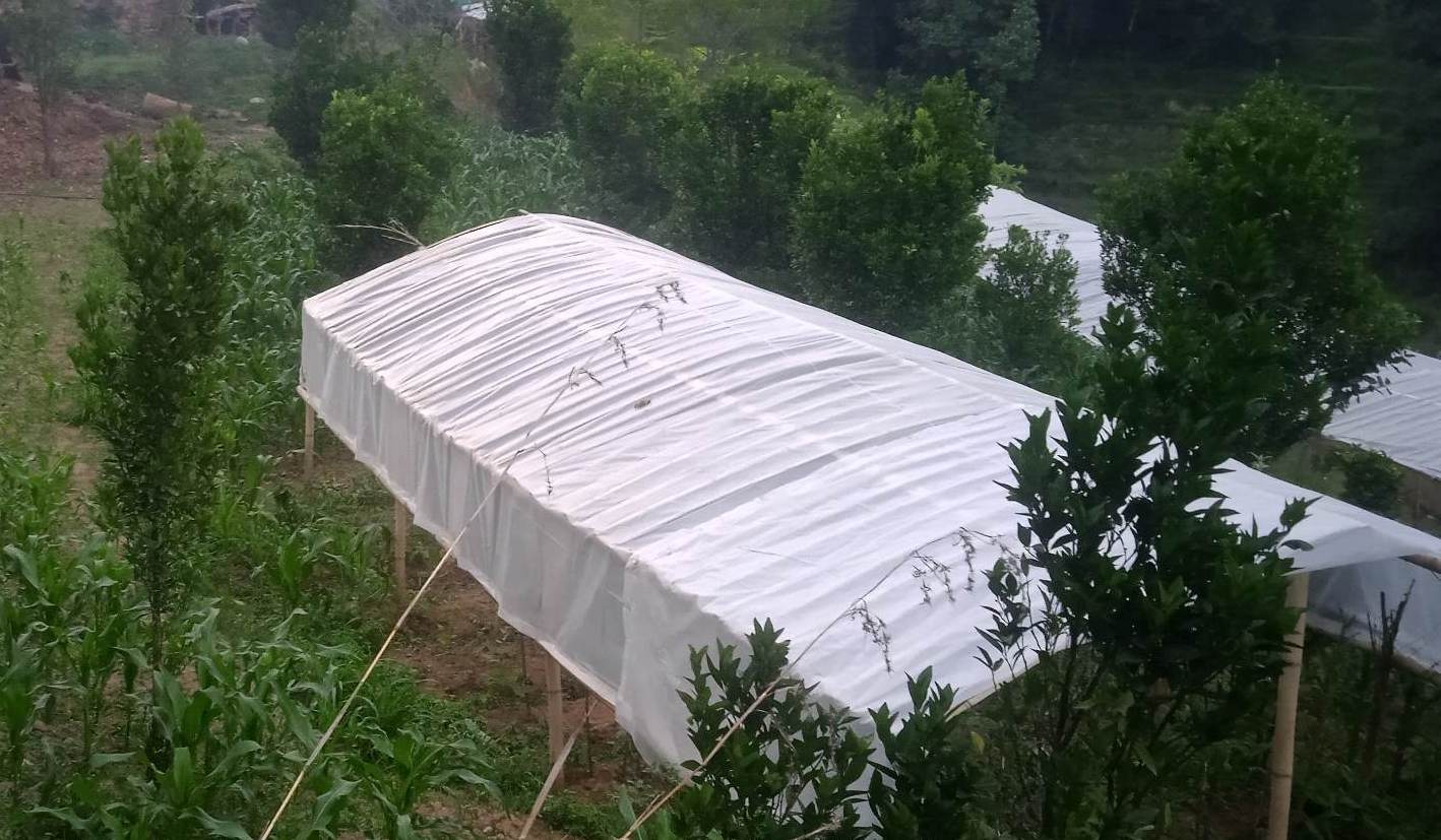 कृषिमा कम भविष्य देख्नेका लागि भोजपुरका यी किसान