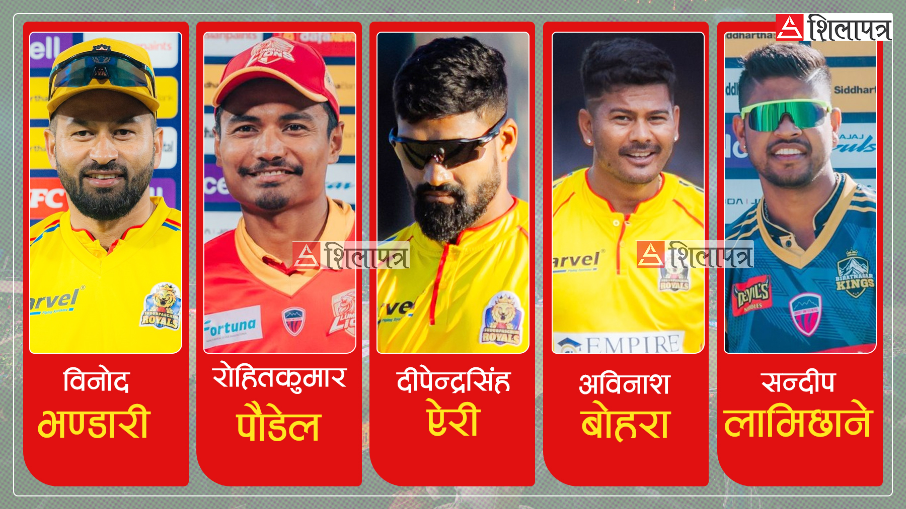 एनपीएलमा कसले जित्ला कार ?