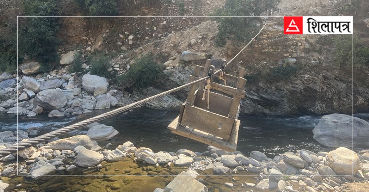 कर्णालीमा भेटिए ५४ तुइन, पाँच वर्षमा थपिँदै छन् ४९६ झोलुङ्गे पुल 