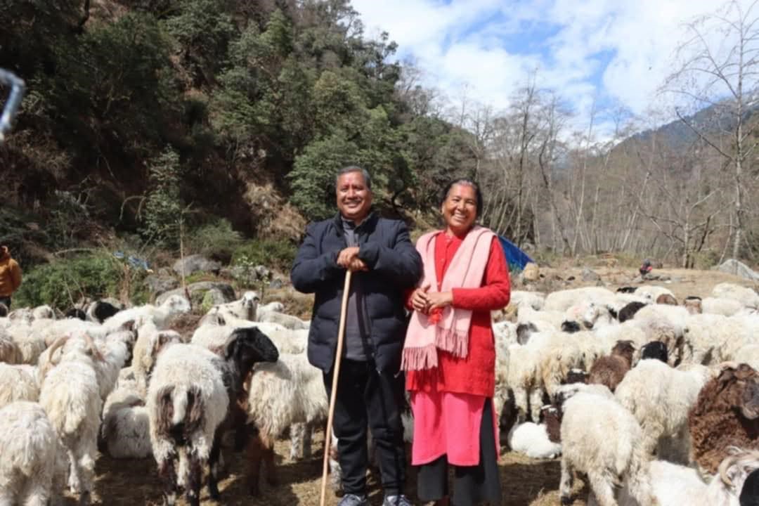 कृषिमा लगानी बढाइरहेका विप्लवले सुरु गरे भेडापालन (तस्वीरहरू)